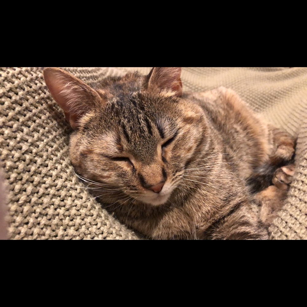 Meet your Posher, Gina